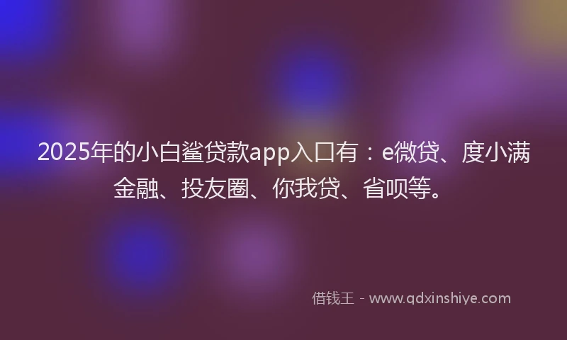2025年的小白鲨贷款app入口有：e微贷、度小满金融、投友圈、你我贷、省呗等。
