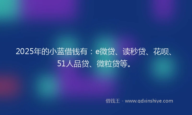 2025年的小蓝借钱有：e微贷、读秒贷、花呗、51人品贷、微粒贷等。