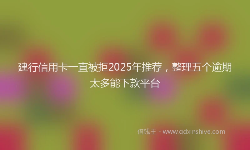 建行信用卡一直被拒2025年推荐，整理五个逾期太多能下款平台