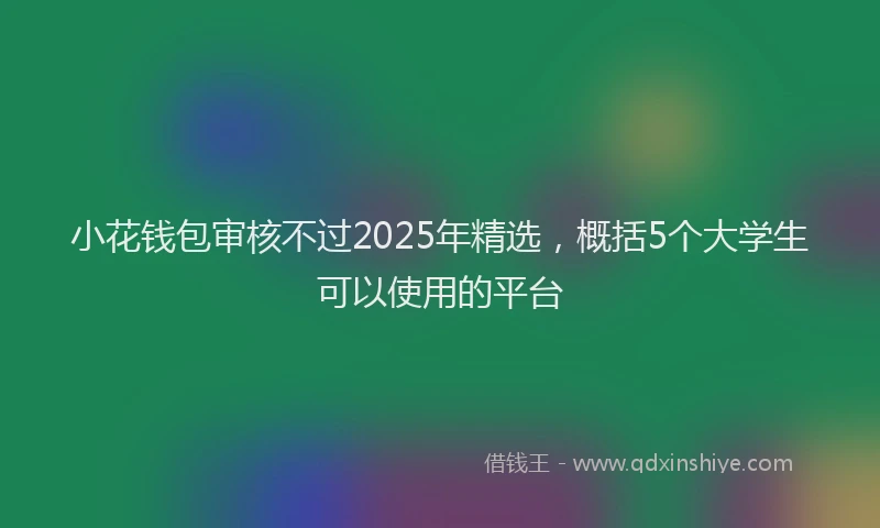 小花钱包审核不过2025年精选，概括5个大学生可以使用的平台