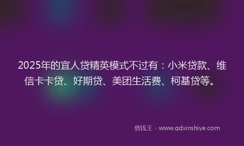 2025年的宜人贷精英模式不过有：小米贷款、维信卡卡贷、好期贷、美团生活费、柯基贷等。