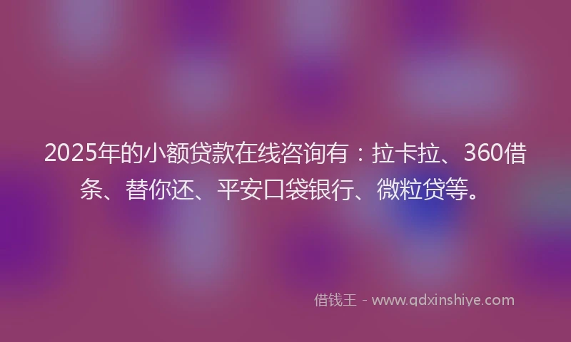 2025年的小额贷款在线咨询有：拉卡拉、360借条、替你还、平安口袋银行、微粒贷等。