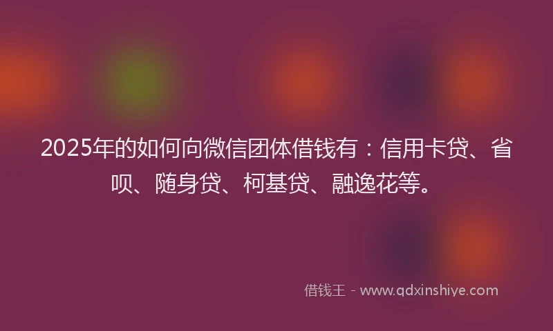 2025年的如何向微信团体借钱有：信用卡贷、省呗、随身贷、柯基贷、融逸花等。