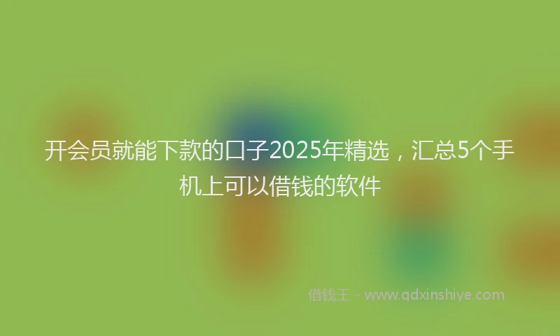开会员就能下款的口子2025年精选，汇总5个手机上可以借钱的软件