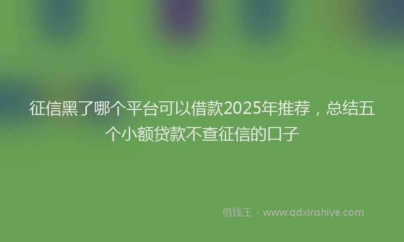 征信黑了哪个平台可以借款2025年推荐，总结五个小额贷款不查征信的口子