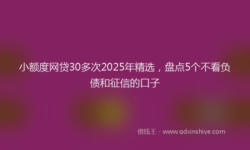小额度网贷30多次2025年精选，盘点5个不看负债和征信的口子
