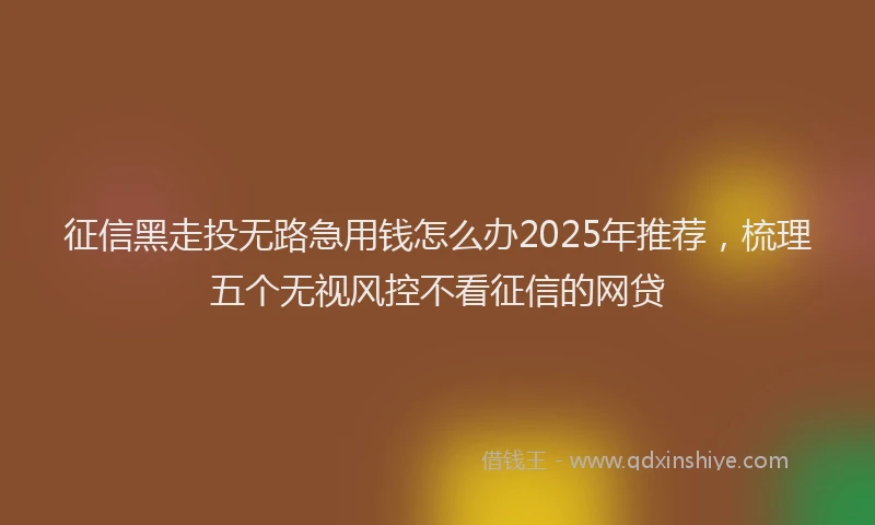 征信黑走投无路急用钱怎么办2025年推荐，梳理五个无视风控不看征信的网贷