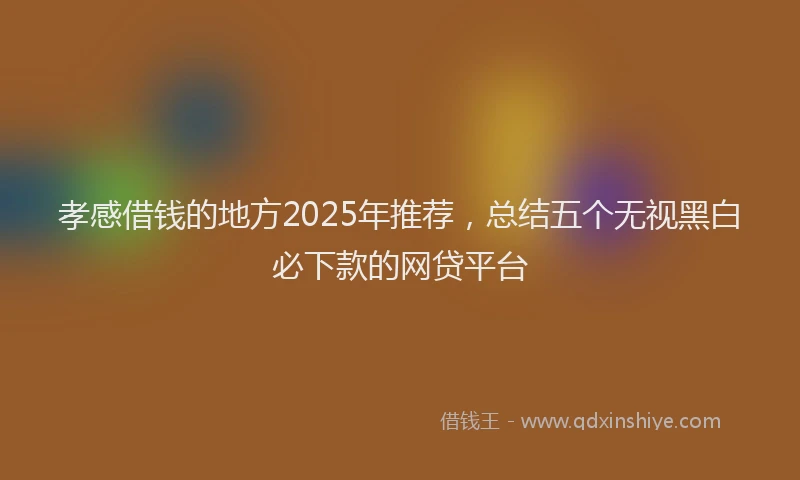 孝感借钱的地方2025年推荐，总结五个无视黑白必下款的网贷平台