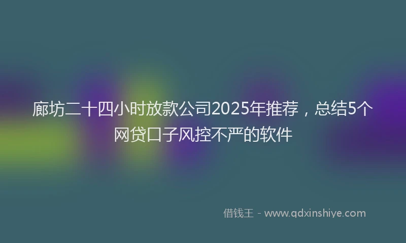 廊坊二十四小时放款公司2025年推荐，总结5个网贷口子风控不严的软件