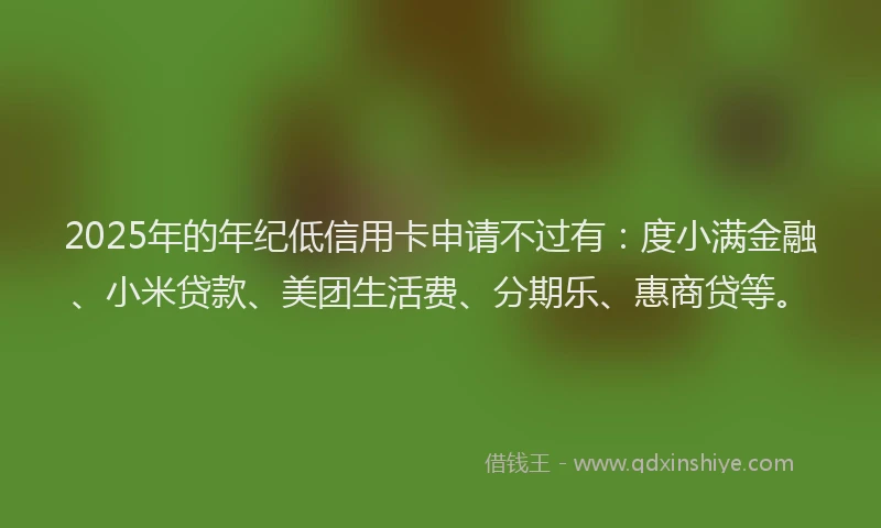2025年的年纪低信用卡申请不过有：度小满金融、小米贷款、美团生活费、分期乐、惠商贷等。