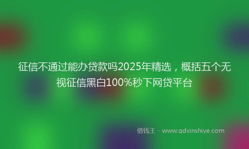 征信不通过能办贷款吗2025年精选，概括五个无视征信黑白100%秒下网贷平台