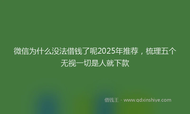 微信为什么没法借钱了呢2025年推荐，梳理五个无视一切是人就下款