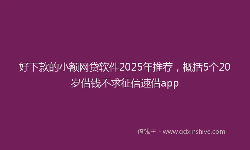 好下款的小额网贷软件2025年推荐，概括5个20岁借钱不求征信速借app
