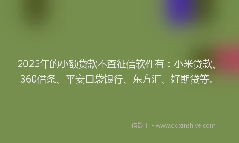 2025年的小额贷款不查征信软件有：小米贷款、360借条、平安口袋银行、东方汇、好期贷等。