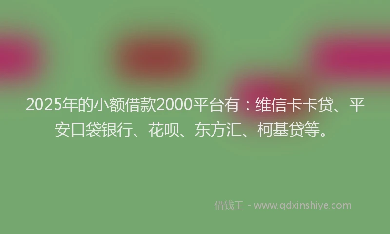 2025年的小额借款2000平台有：维信卡卡贷、平安口袋银行、花呗、东方汇、柯基贷等。