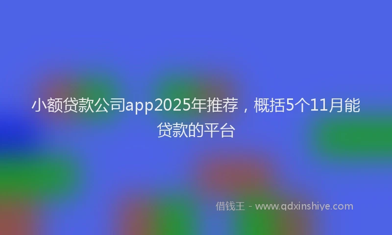 小额贷款公司app2025年推荐，概括5个11月能贷款的平台