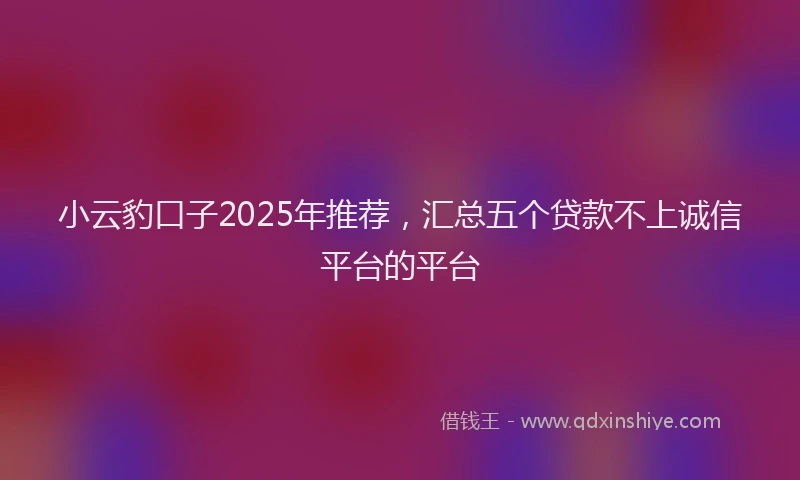 小云豹口子2025年推荐，汇总五个贷款不上诚信平台的平台