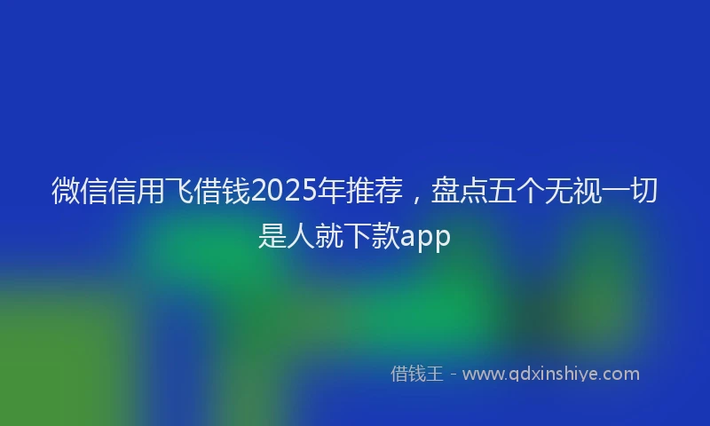 微信信用飞借钱2025年推荐，盘点五个无视一切是人就下款app