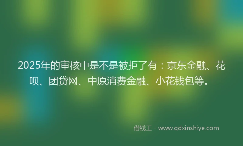2025年的审核中是不是被拒了有：京东金融、花呗、团贷网、中原消费金融、小花钱包等。