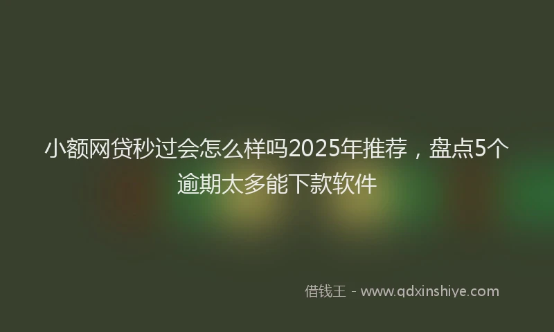小额网贷秒过会怎么样吗2025年推荐，盘点5个逾期太多能下款软件