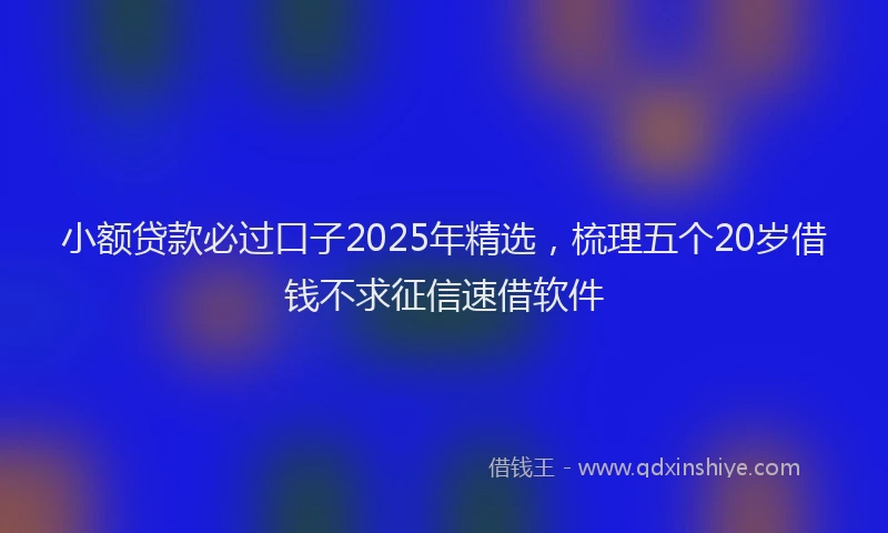 小额贷款必过口子2025年精选，梳理五个20岁借钱不求征信速借软件