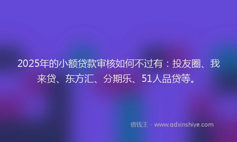 2025年的小额贷款审核如何不过有：投友圈、我来贷、东方汇、分期乐、51人品贷等。