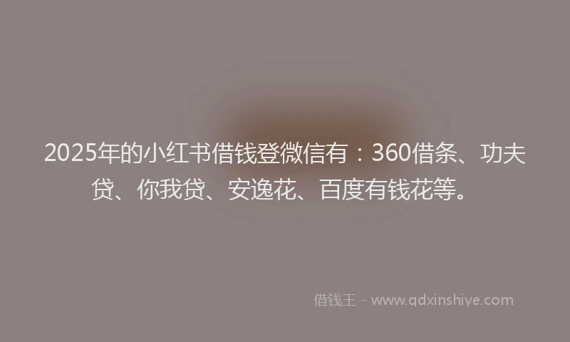 2025年的小红书借钱登微信有：360借条、功夫贷、你我贷、安逸花、百度有钱花等。
