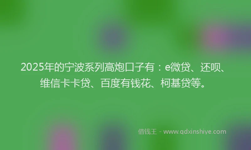 2025年的宁波系列高炮口子有：e微贷、还呗、维信卡卡贷、百度有钱花、柯基贷等。