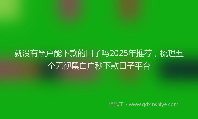 就没有黑户能下款的口子吗2025年推荐，梳理五个无视黑白户秒下款口子平台