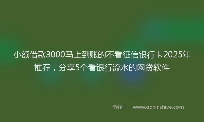 小额借款3000马上到账的不看征信银行卡2025年推荐，分享5个看银行流水的网贷软件
