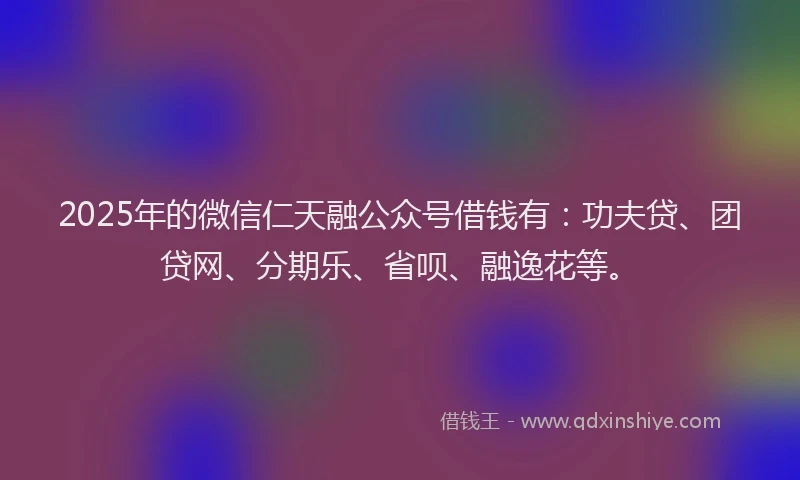 2025年的微信仁天融公众号借钱有：功夫贷、团贷网、分期乐、省呗、融逸花等。