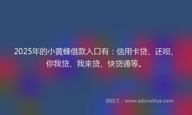 2025年的小黄蜂借款入口有：信用卡贷、还呗、你我贷、我来贷、快贷通等。