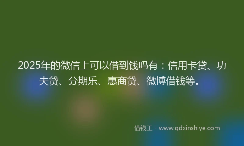 2025年的微信上可以借到钱吗有：信用卡贷、功夫贷、分期乐、惠商贷、微博借钱等。