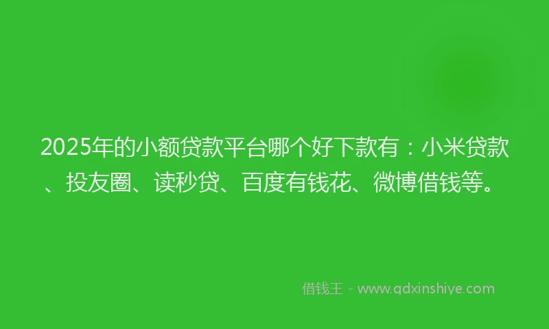 2025年的小额贷款平台哪个好下款有：小米贷款、投友圈、读秒贷、百度有钱花、微博借钱等。
