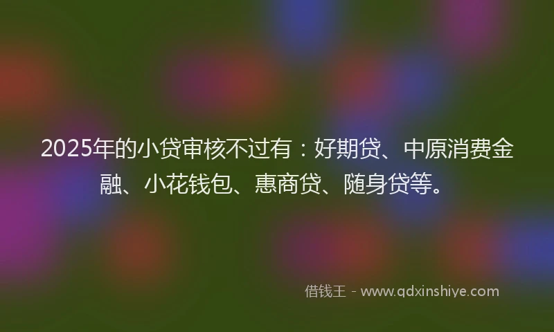 2025年的小贷审核不过有：好期贷、中原消费金融、小花钱包、惠商贷、随身贷等。