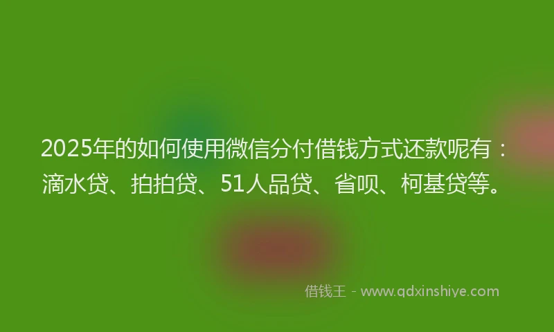 2025年的如何使用微信分付借钱方式还款呢有：滴水贷、拍拍贷、51人品贷、省呗、柯基贷等。