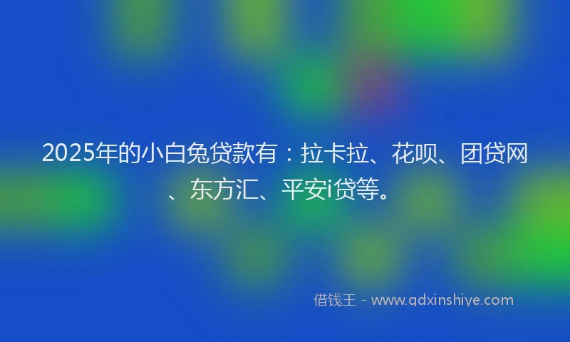2025年的小白兔贷款有：拉卡拉、花呗、团贷网、东方汇、平安i贷等。
