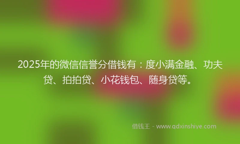 2025年的微信信誉分借钱有：度小满金融、功夫贷、拍拍贷、小花钱包、随身贷等。