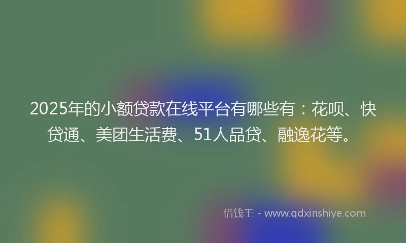 2025年的小额贷款在线平台有哪些有：花呗、快贷通、美团生活费、51人品贷、融逸花等。