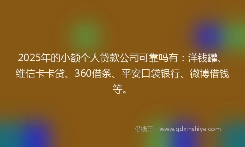 2025年的小额个人贷款公司可靠吗有：洋钱罐、维信卡卡贷、360借条、平安口袋银行、微博借钱等。