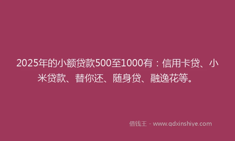 2025年的小额贷款500至1000有：信用卡贷、小米贷款、替你还、随身贷、融逸花等。