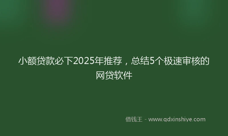 小额贷款必下2025年推荐，总结5个极速审核的网贷软件