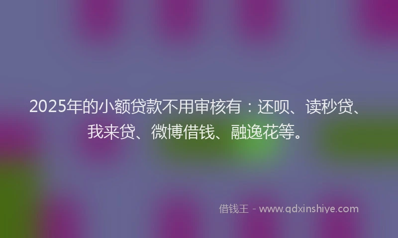 2025年的小额贷款不用审核有：还呗、读秒贷、我来贷、微博借钱、融逸花等。