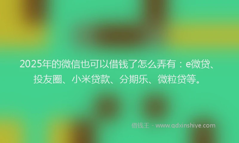 2025年的微信也可以借钱了怎么弄有：e微贷、投友圈、小米贷款、分期乐、微粒贷等。