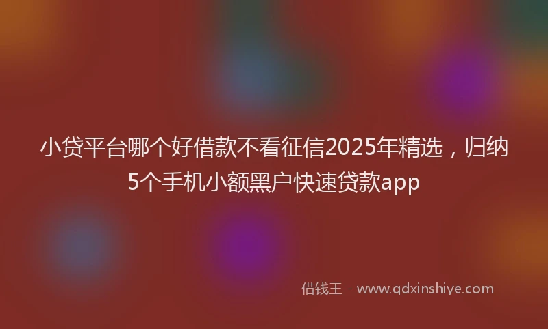 小贷平台哪个好借款不看征信2025年精选，归纳5个手机小额黑户快速贷款app