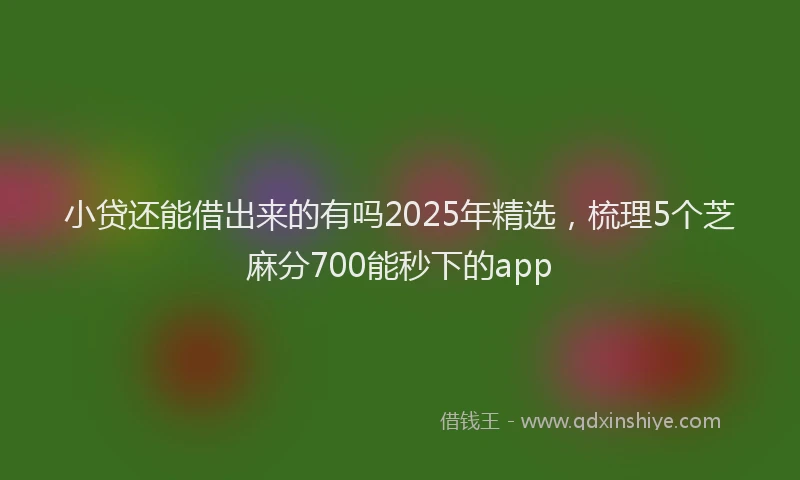 小贷还能借出来的有吗2025年精选，梳理5个芝麻分700能秒下的app