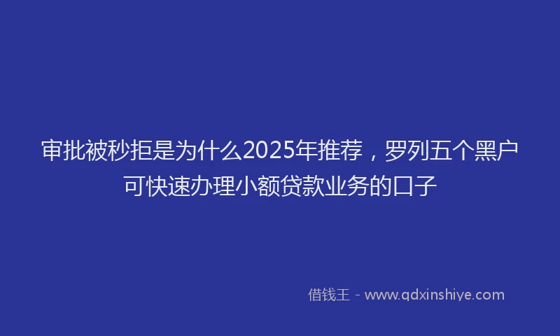 审批被秒拒是为什么2025年推荐，罗列五个黑户可快速办理小额贷款业务的口子
