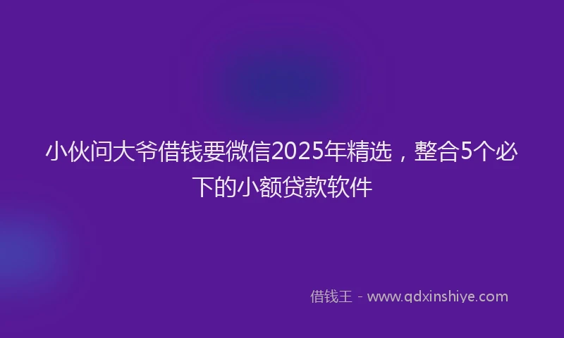 小伙问大爷借钱要微信2025年精选，整合5个必下的小额贷款软件