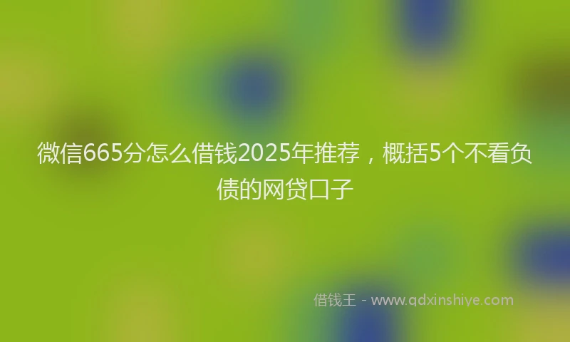 微信665分怎么借钱2025年推荐，概括5个不看负债的网贷口子