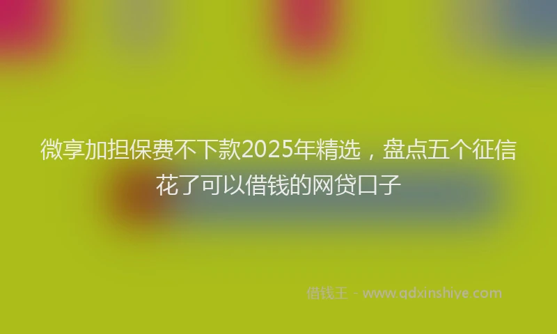 微享加担保费不下款2025年精选，盘点五个征信花了可以借钱的网贷口子